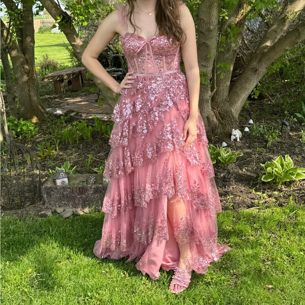 Sparkly Layered Pink Gown